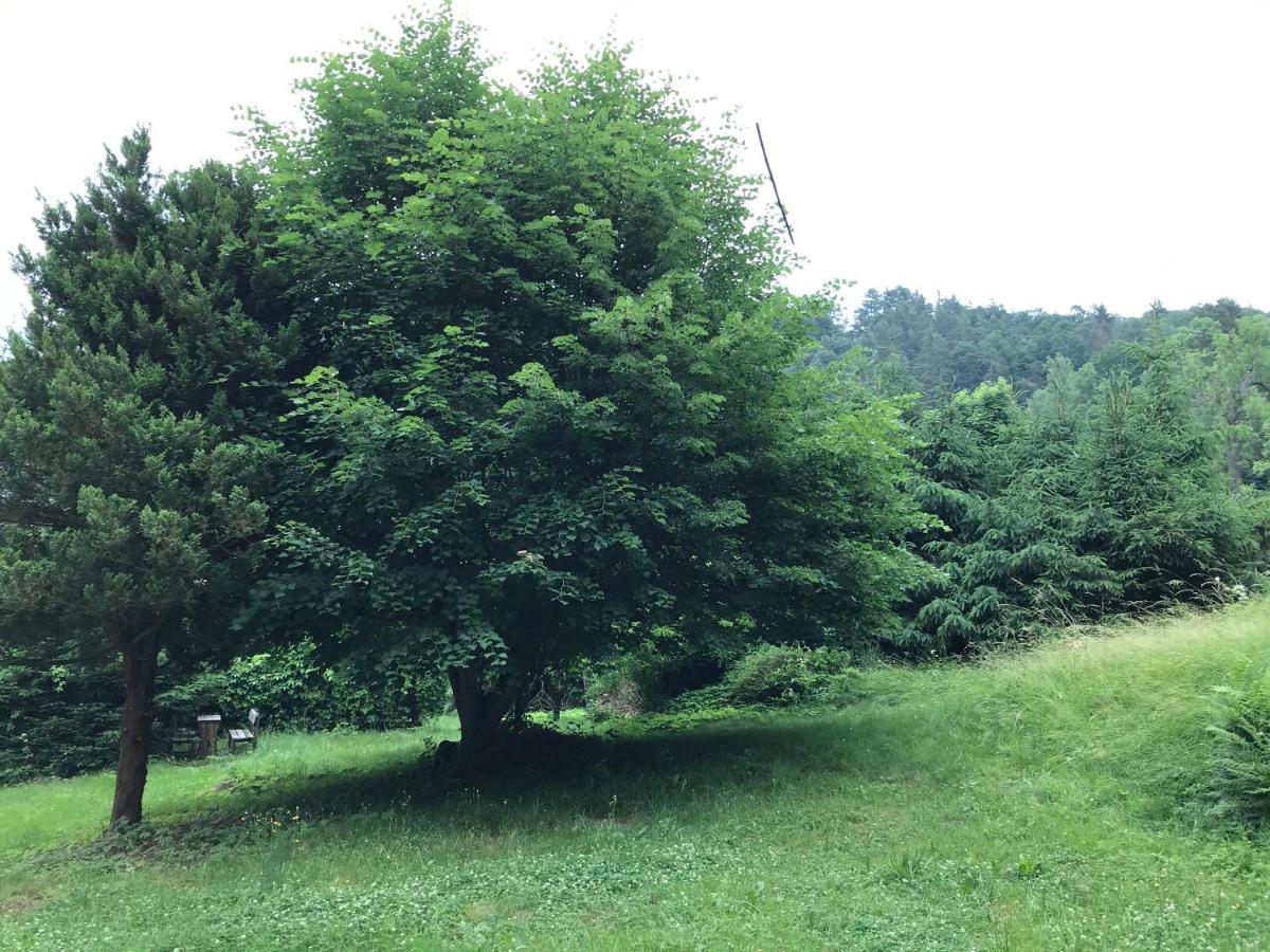 Apartmany Janska Luaran gambar